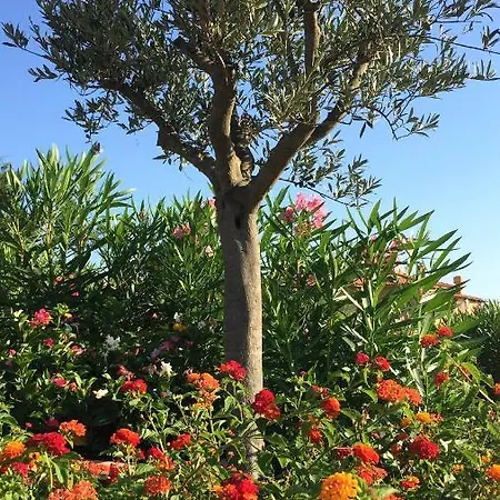 아파트 Sea & Costa Smeralda 포르투 세르보