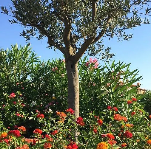 Lägenhet Sea & Costa Smeralda Porto Cervo
